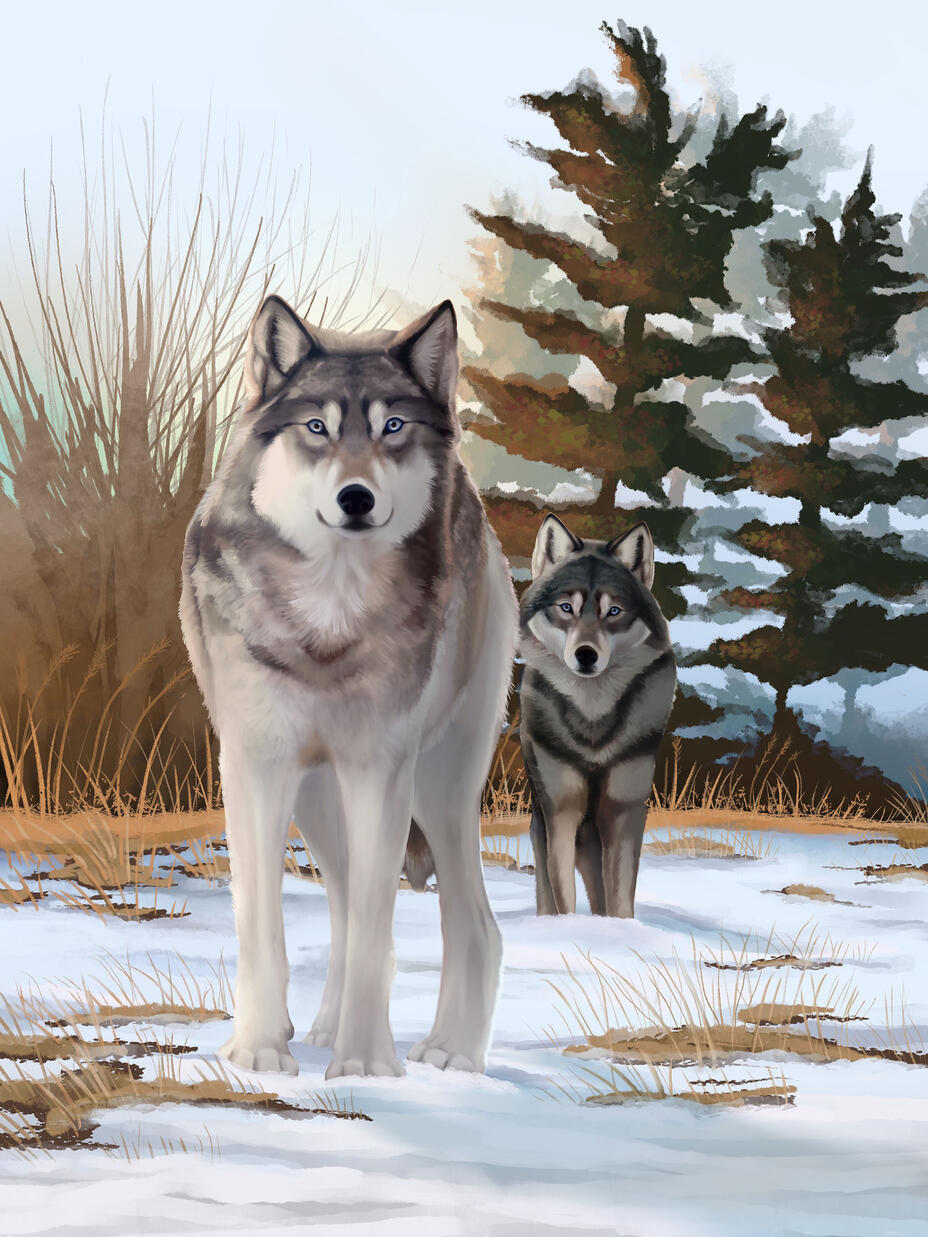 Resistant &amp; Resilient